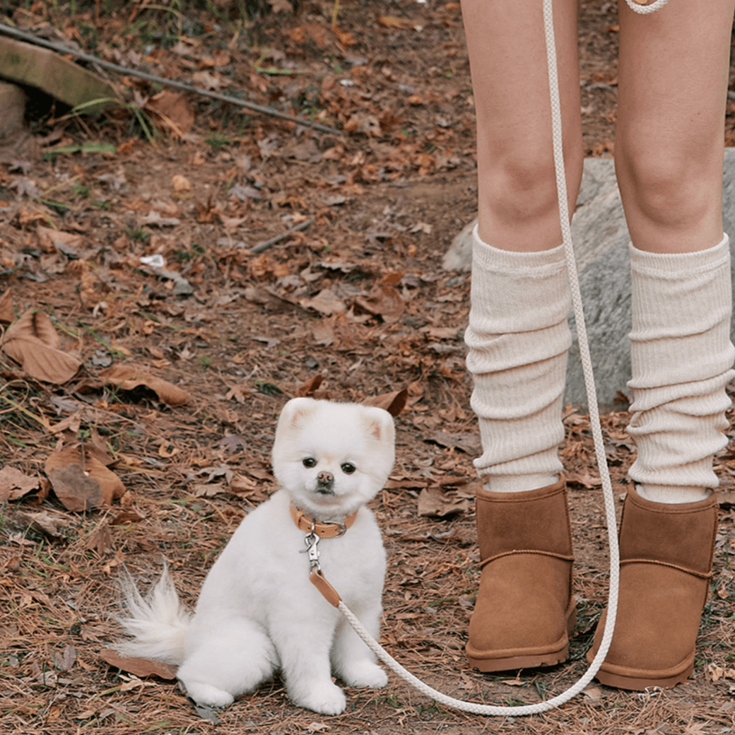 Rope Leash (Beige)