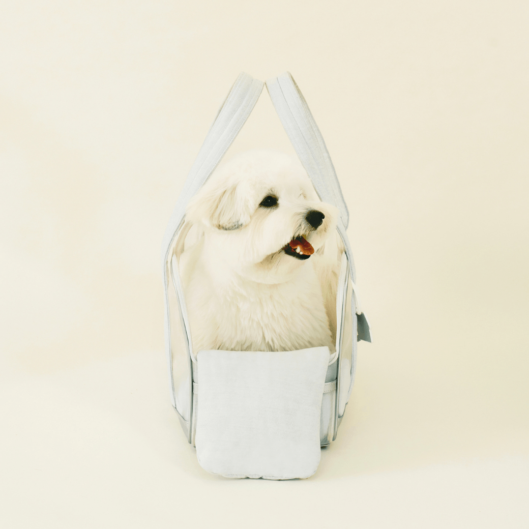 Mesh Ballon Bag （Silver & Blue）