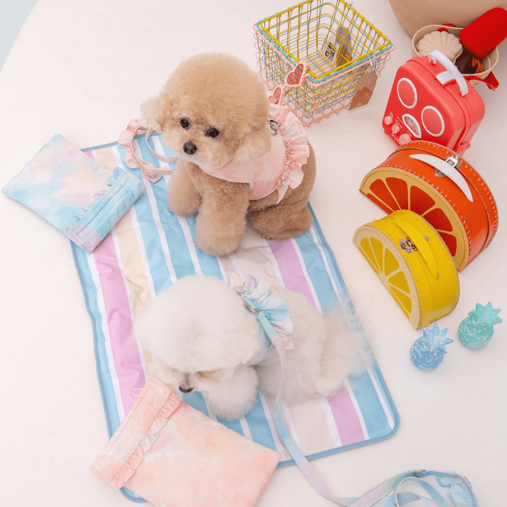 【5/12配送】Ice Water Harness（Aqua Breeze）