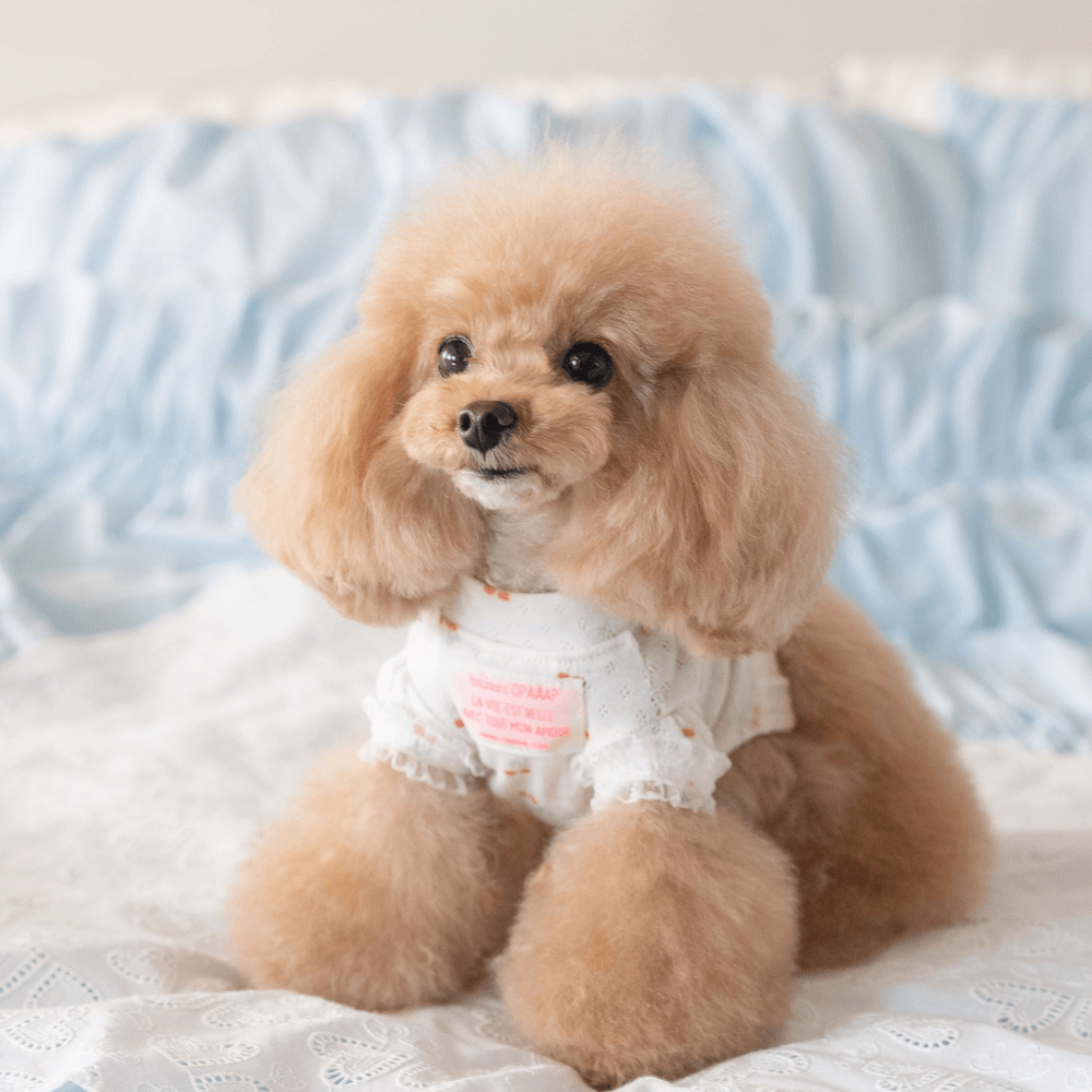 Berry Sweet T-shirt (Cherry)