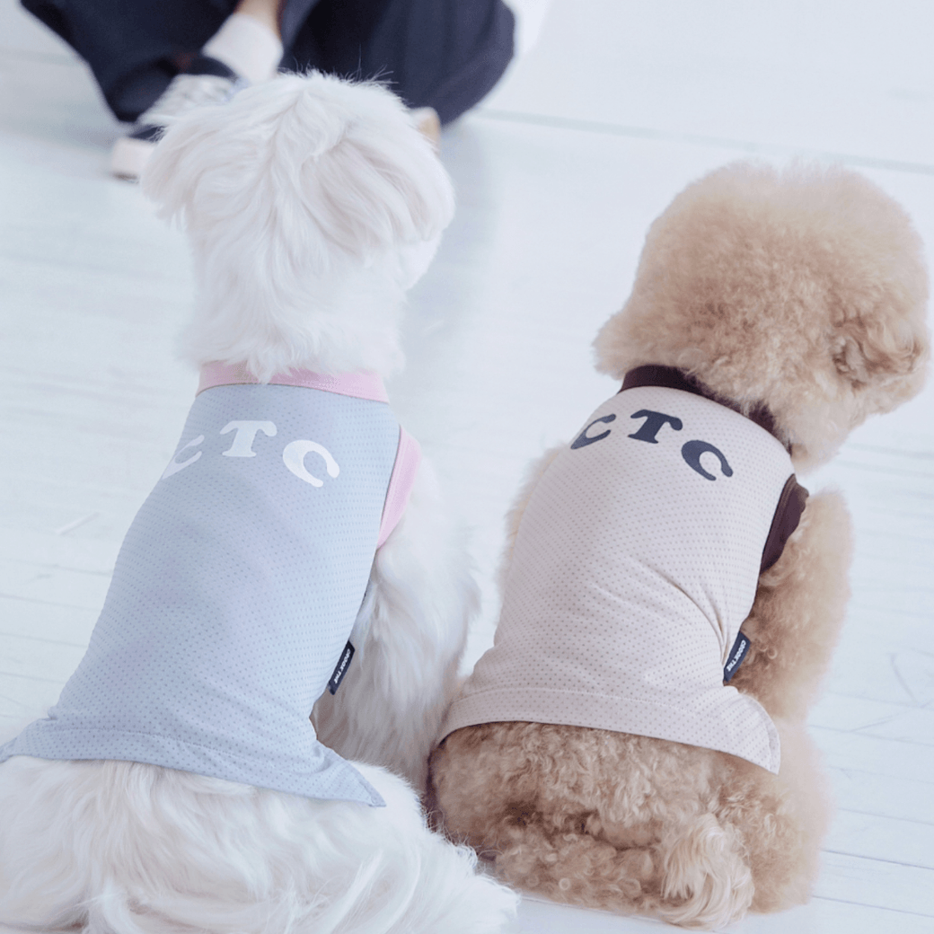 Air Mesh Cooling Tee (2color)