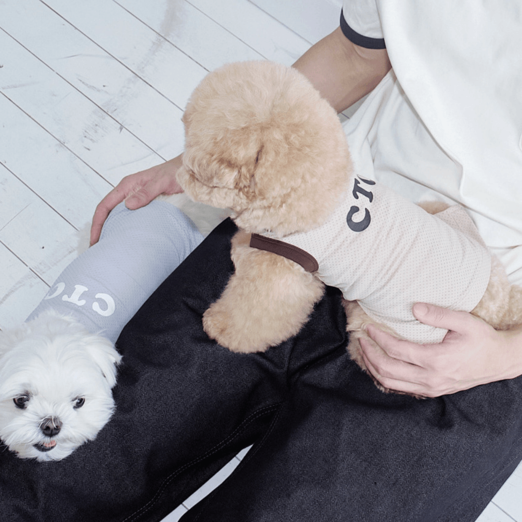Air Mesh Cooling Tee (2color)