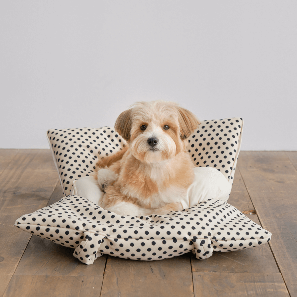 APERTY wide bag dot ivory