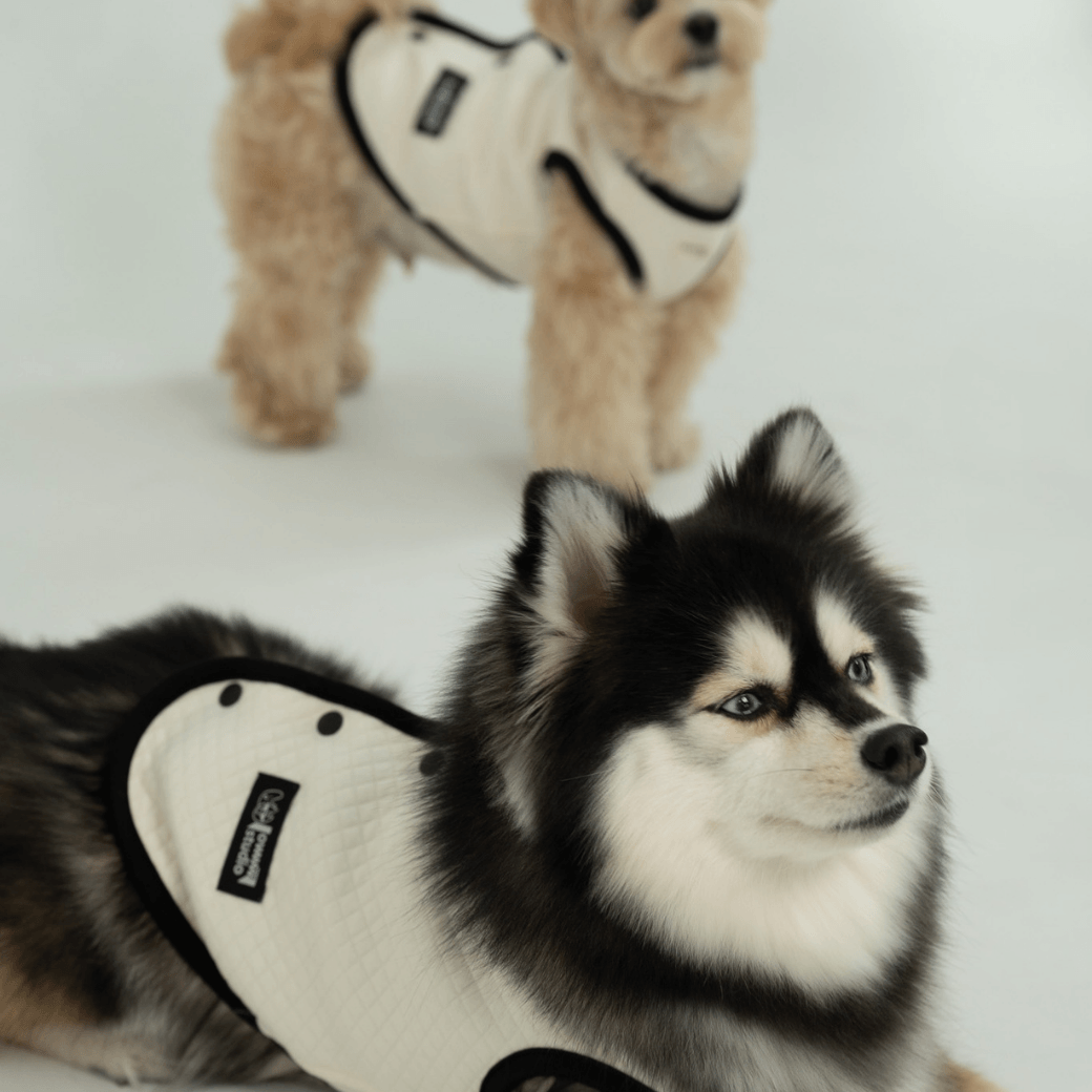 【予約】ORGANIC QUILTED VEST – OWWW x VERVVE edition（ネーム刺繍可）