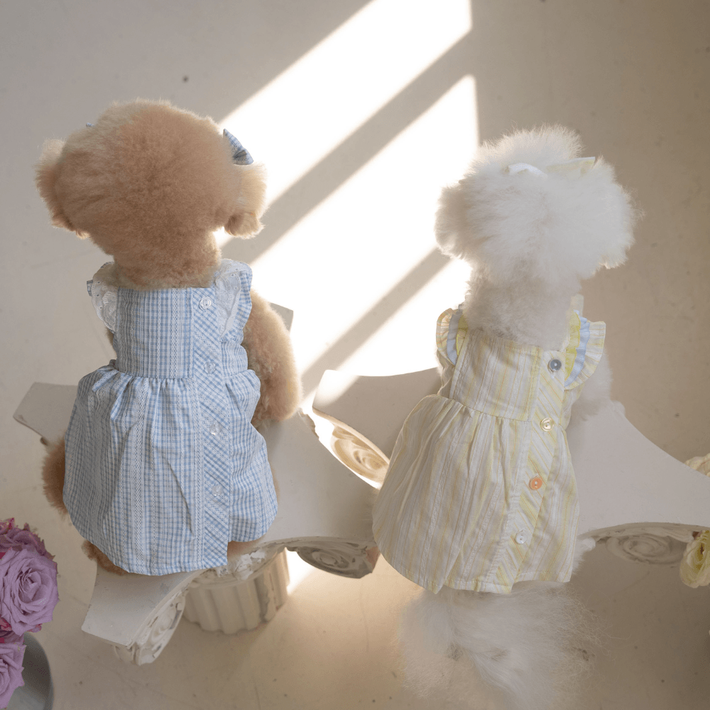 Sunkist Dress（Blue）