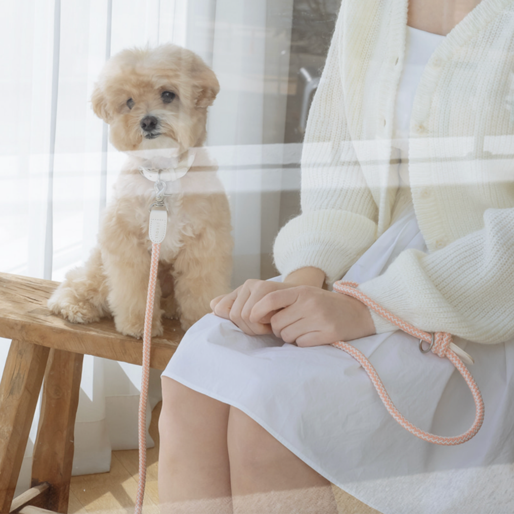 Rope Leash (Coral)