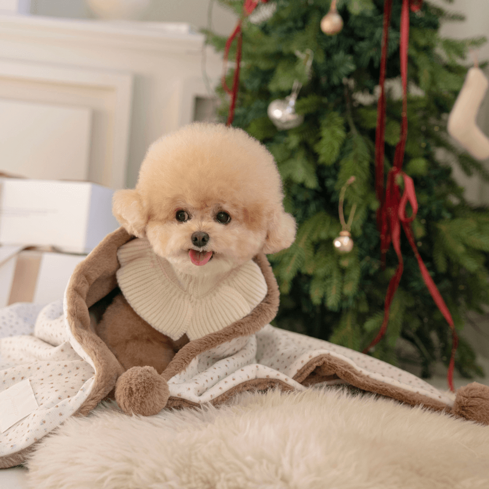 Winter Snuggle Blanket (2color)