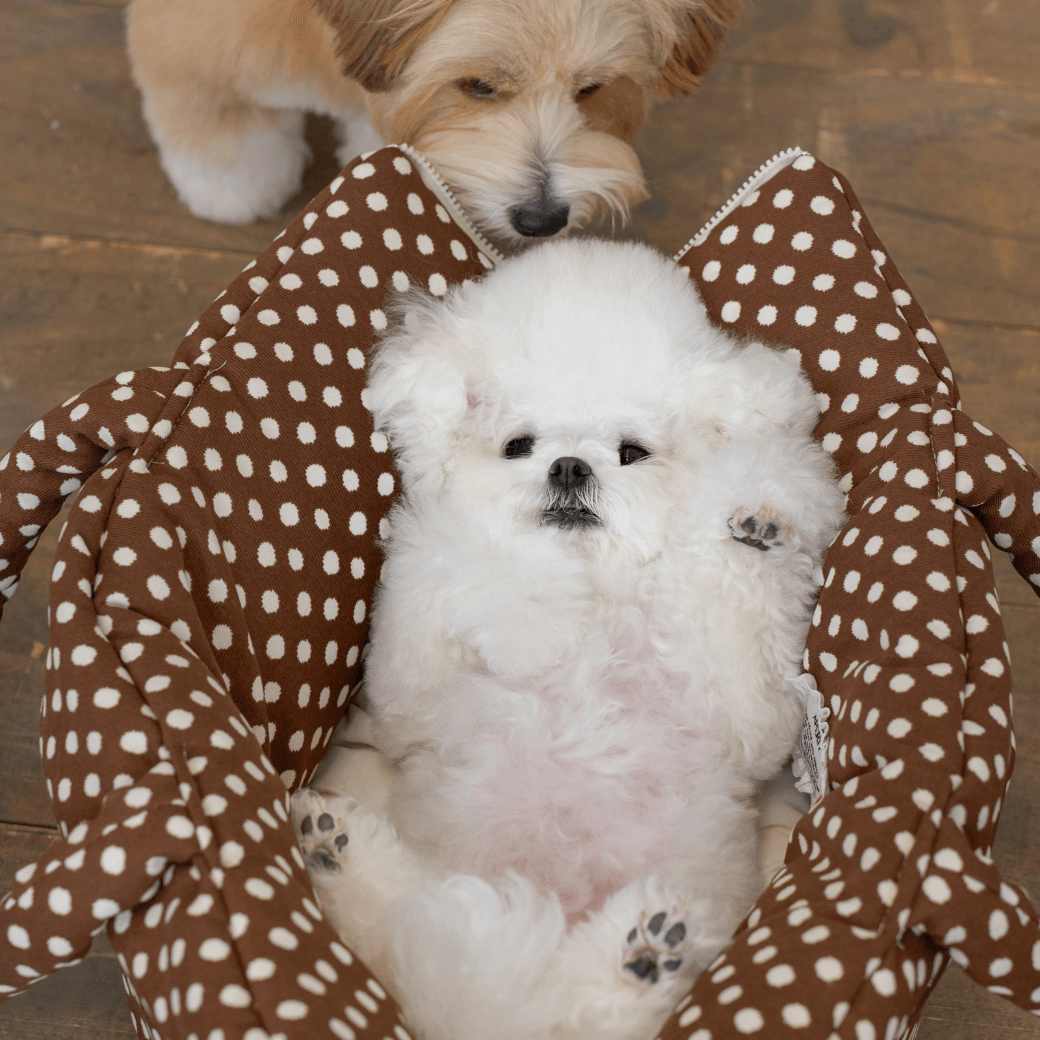 APERTY wide bag dot brown