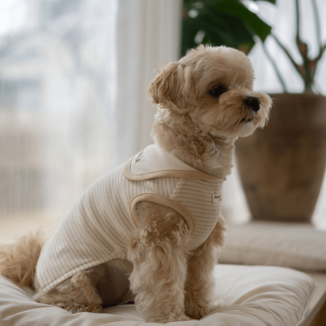 【予約】ORGANIC SAILOR SLEEVLESS（ネーム刺繍可 / 2COLOR）