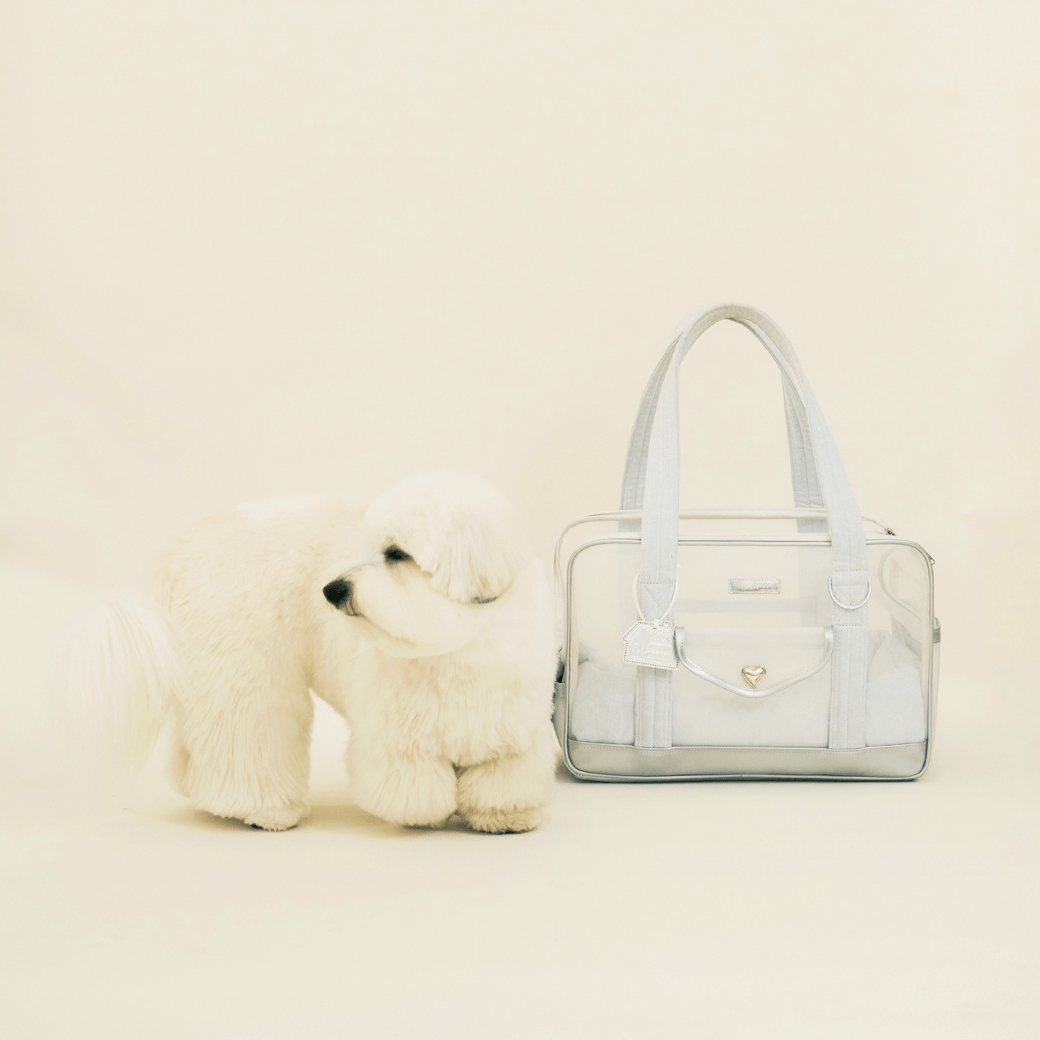 Mesh Ballon Bag （Silver & Blue）