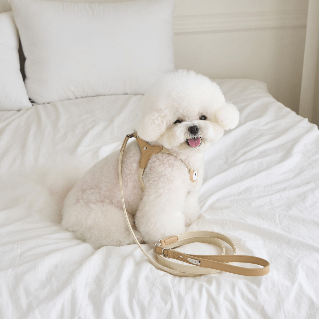 BEAR HARNESS（Ivory）