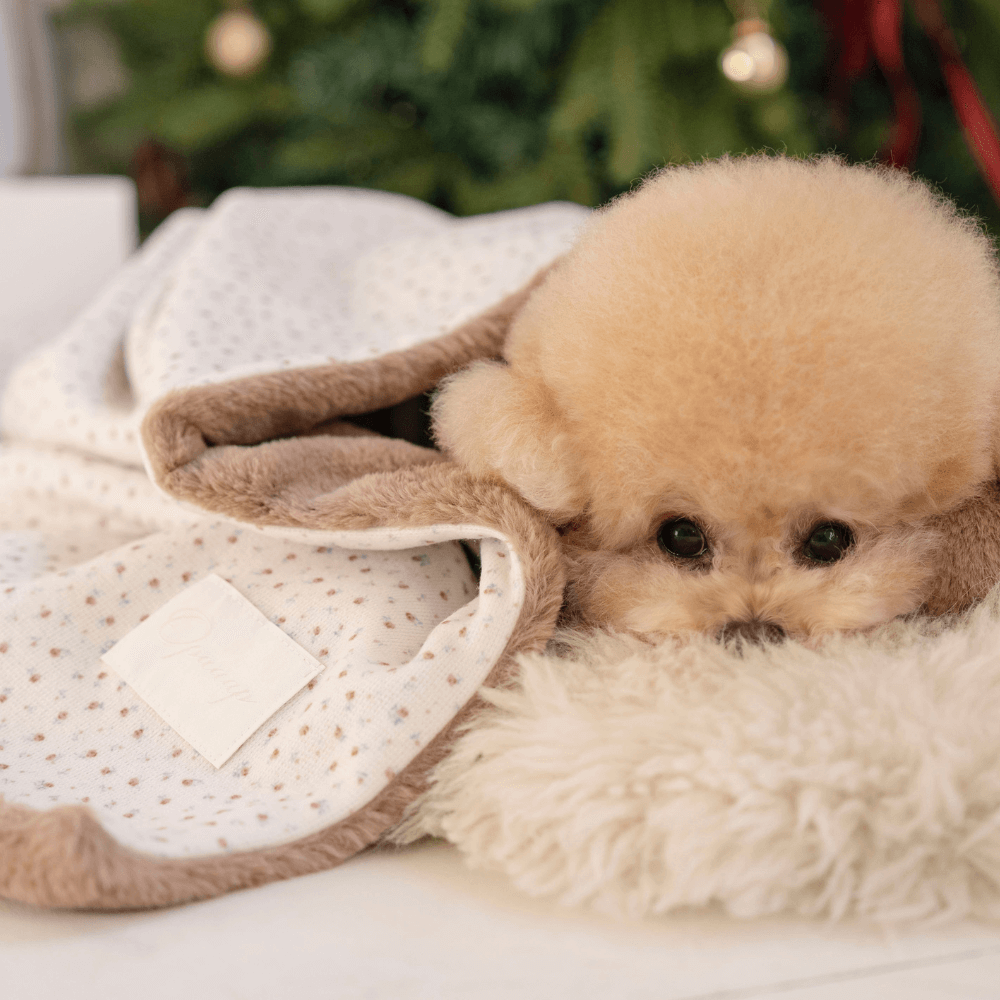 Winter Snuggle Blanket (2color)