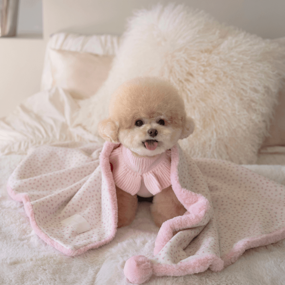 Winter Snuggle Blanket (2color)