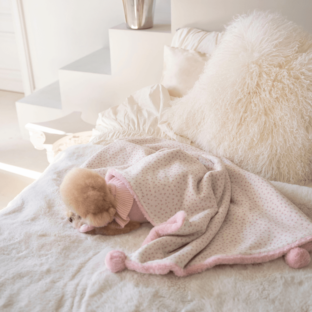 Winter Snuggle Blanket (2color)