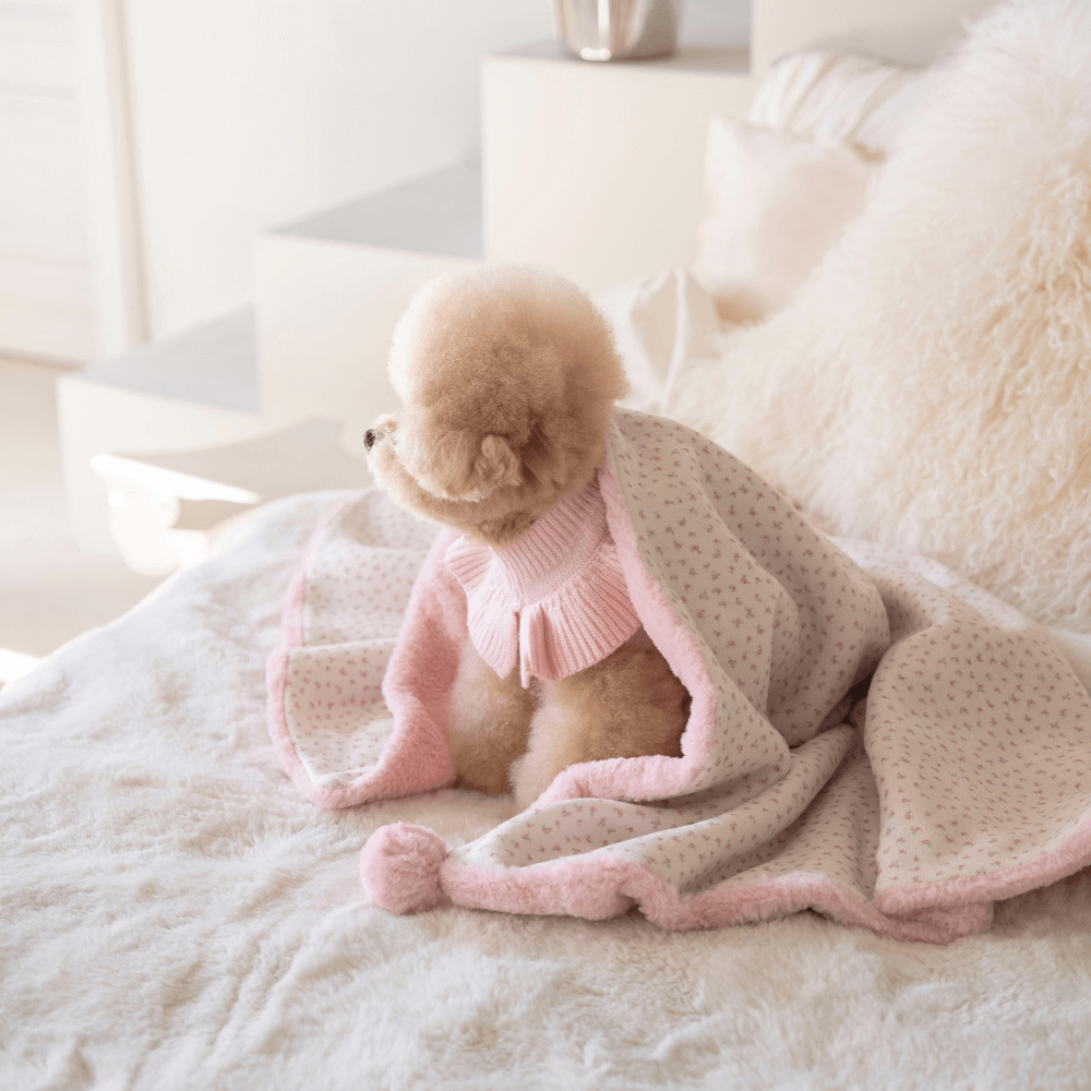 Winter Snuggle Blanket (2color)