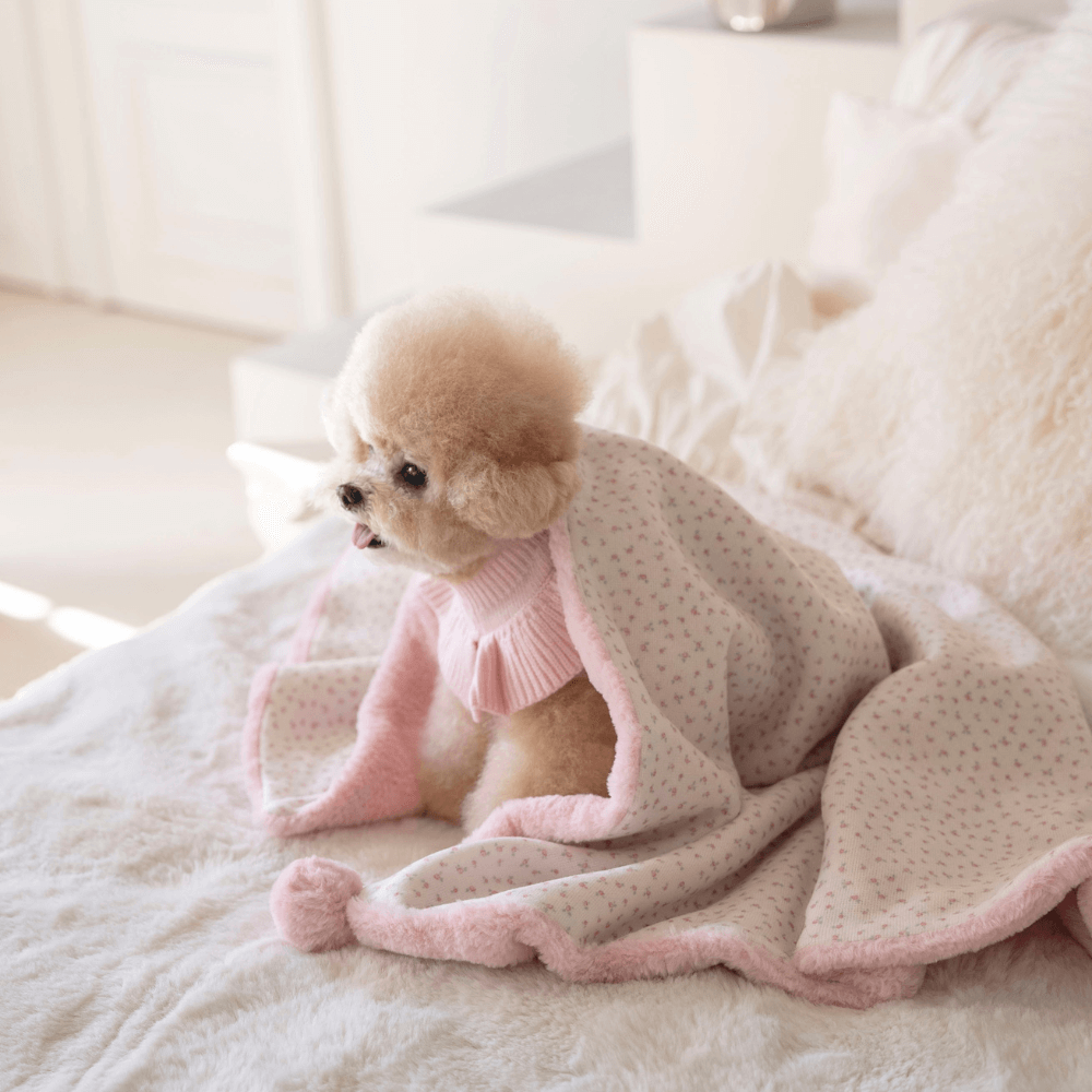 Winter Snuggle Blanket (2color)