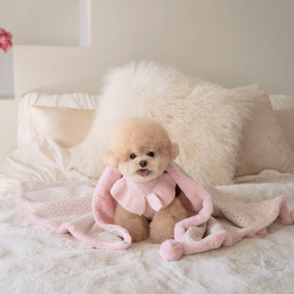 Winter Snuggle Blanket (2color)