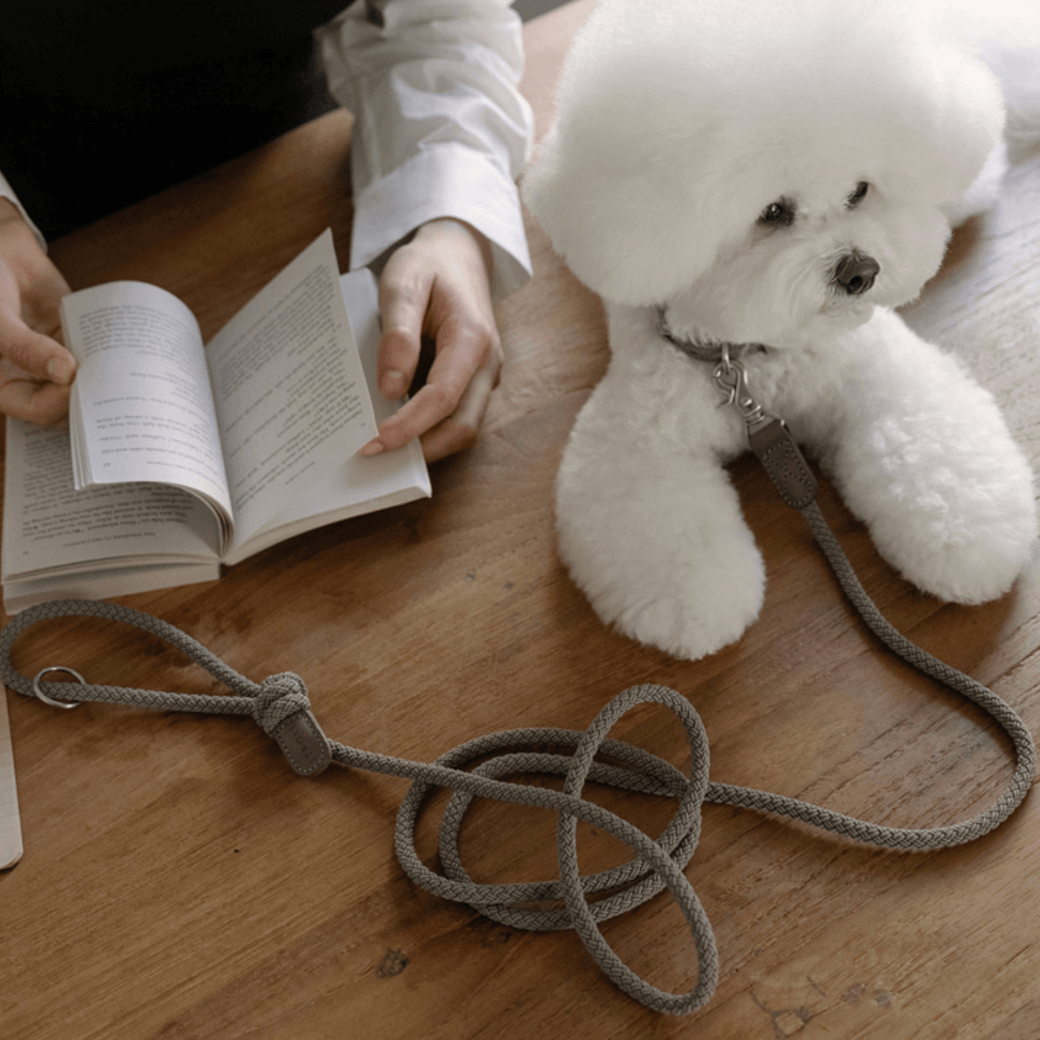 Rope Leash (Ash Grey)