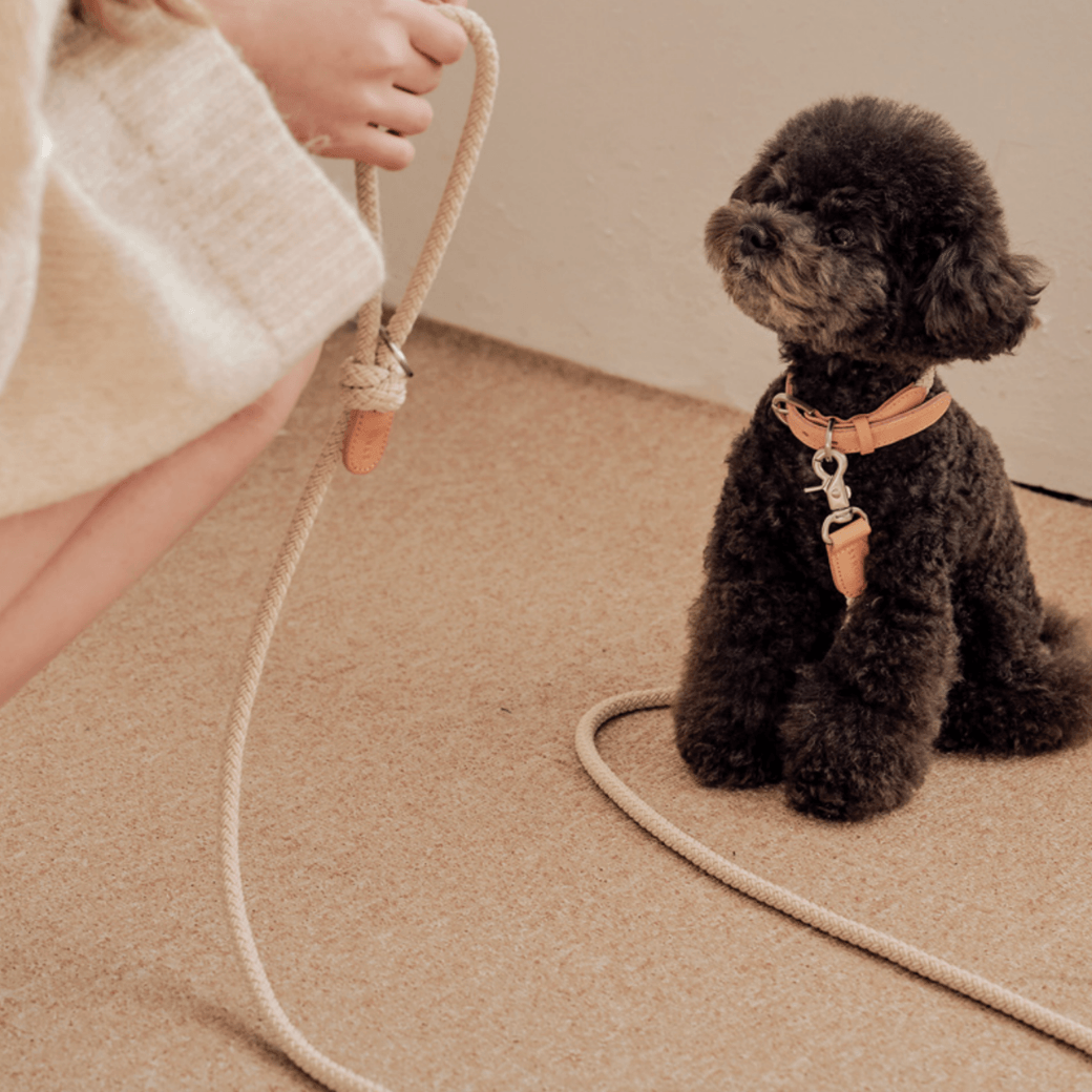 Rope Leash (Beige)
