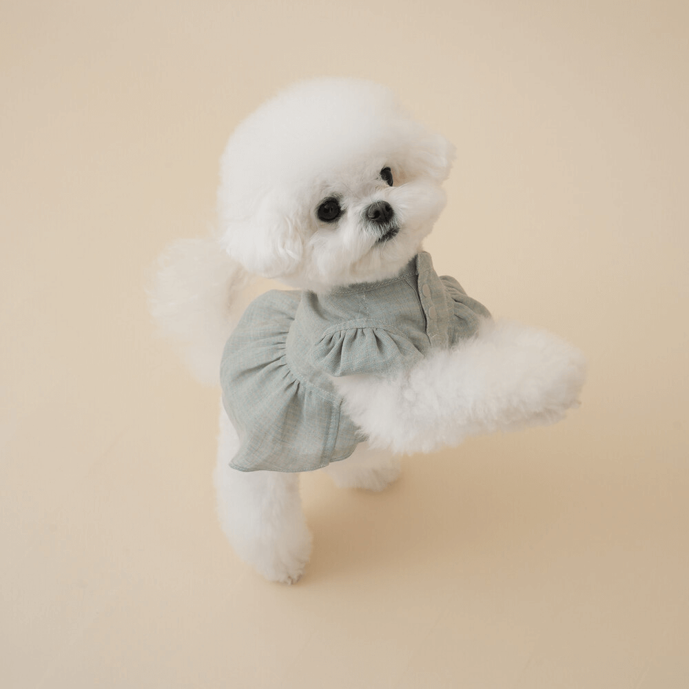 Pure Linen Dress (Mint)