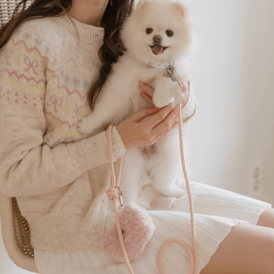 Rope Leash (Coral)