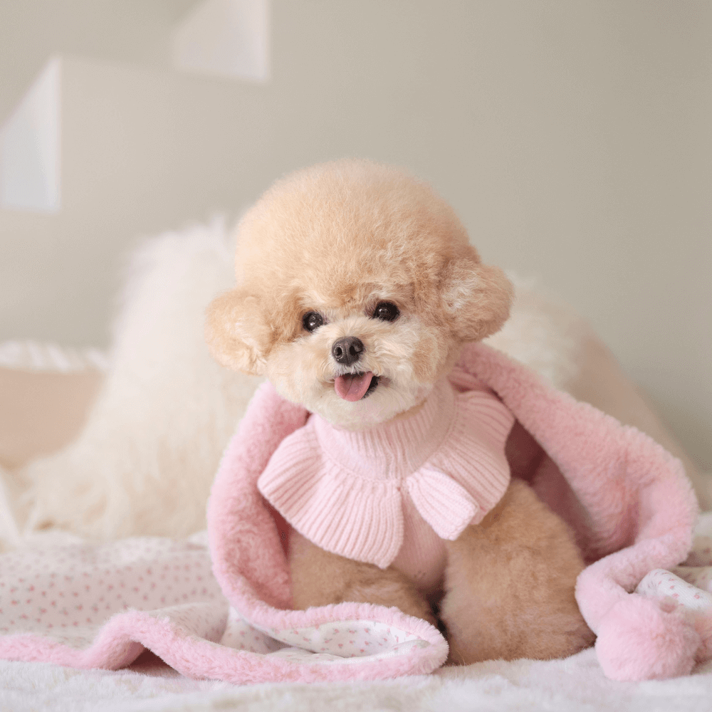 Winter Snuggle Blanket (2color)
