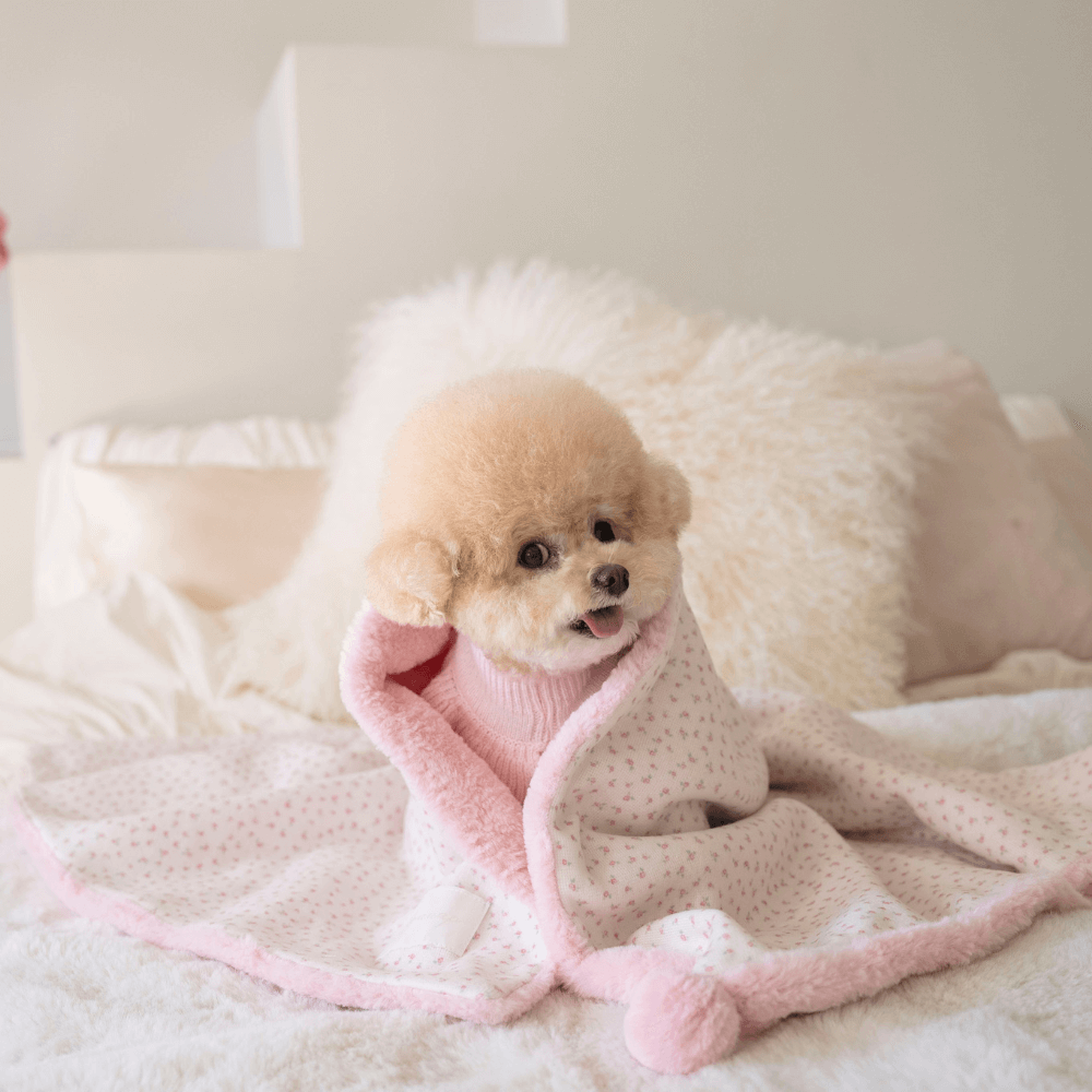 Winter Snuggle Blanket (2color)