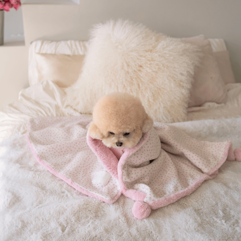 Winter Snuggle Blanket (2color)