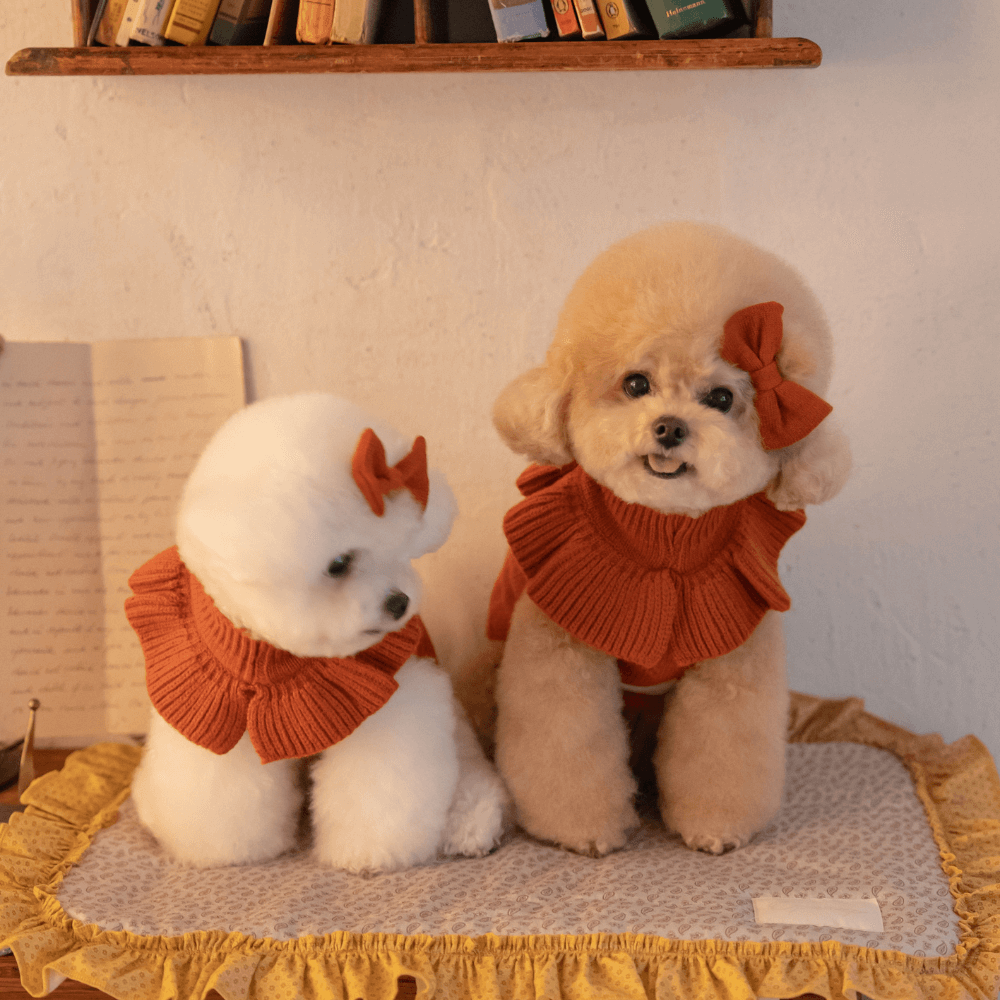 【MINIME別注】Frill Knit（Terracotta）