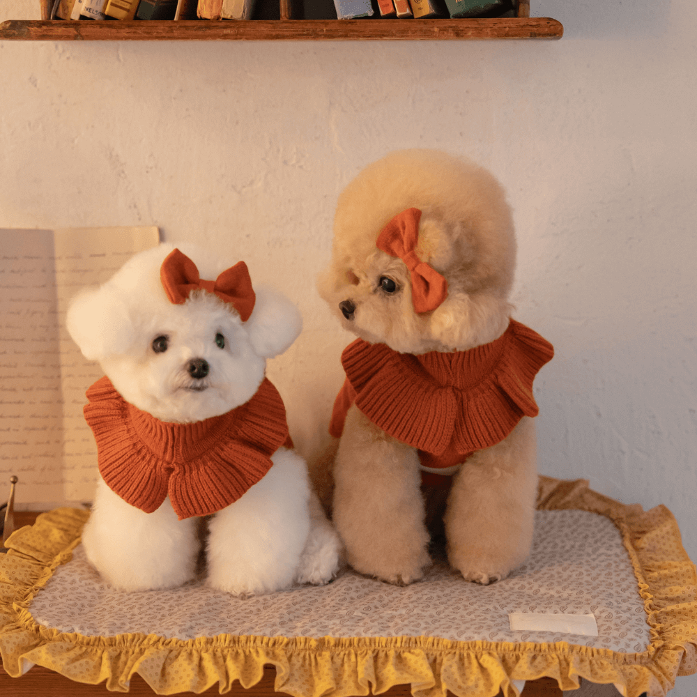 【MINIME別注】Frill Knit（Terracotta）