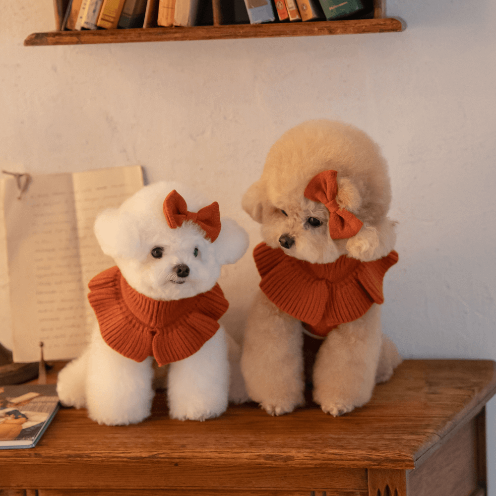 【MINIME別注】Frill Knit（Terracotta）