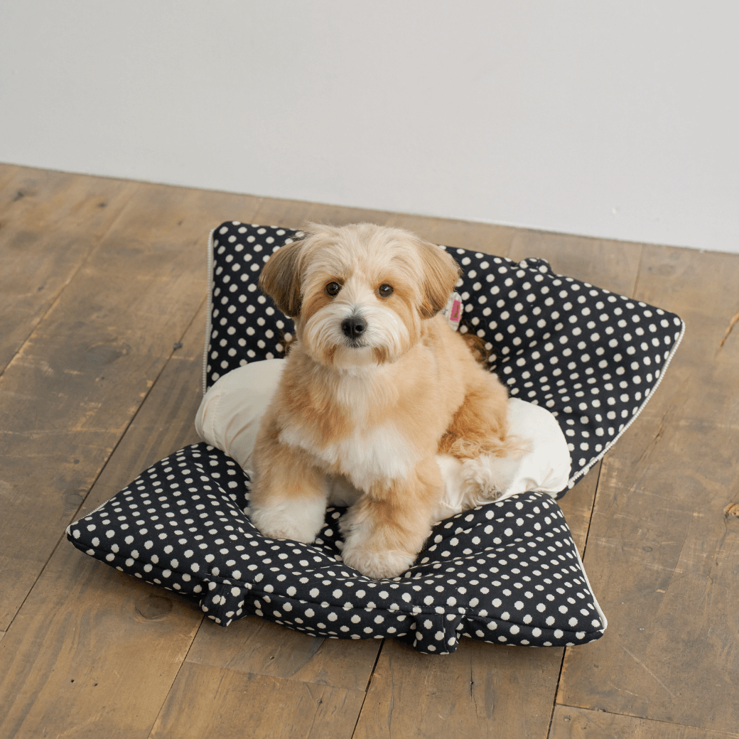 APERTY wide bag dot black