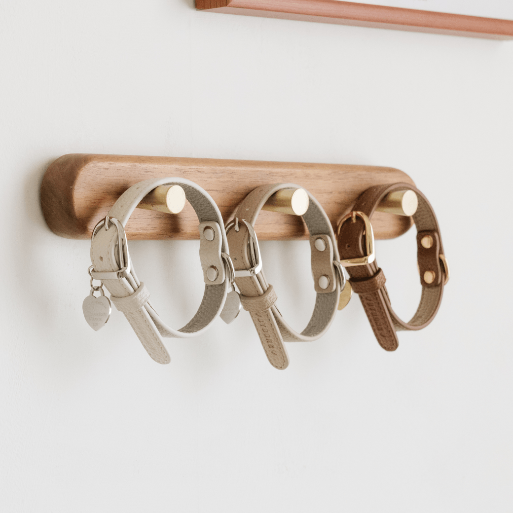 DELIGHT COLLAR（クリーム）