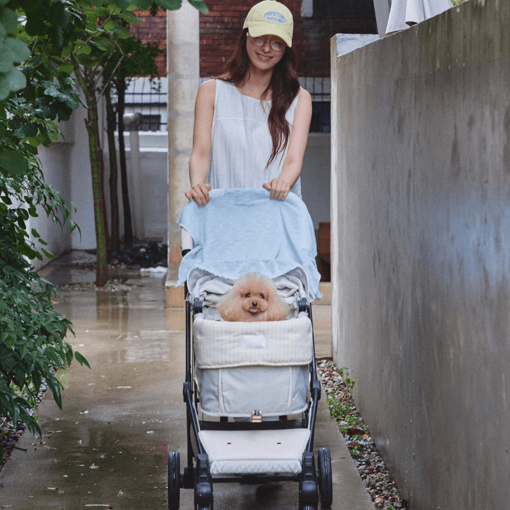 【予約】Buggy Puff (Yellow)