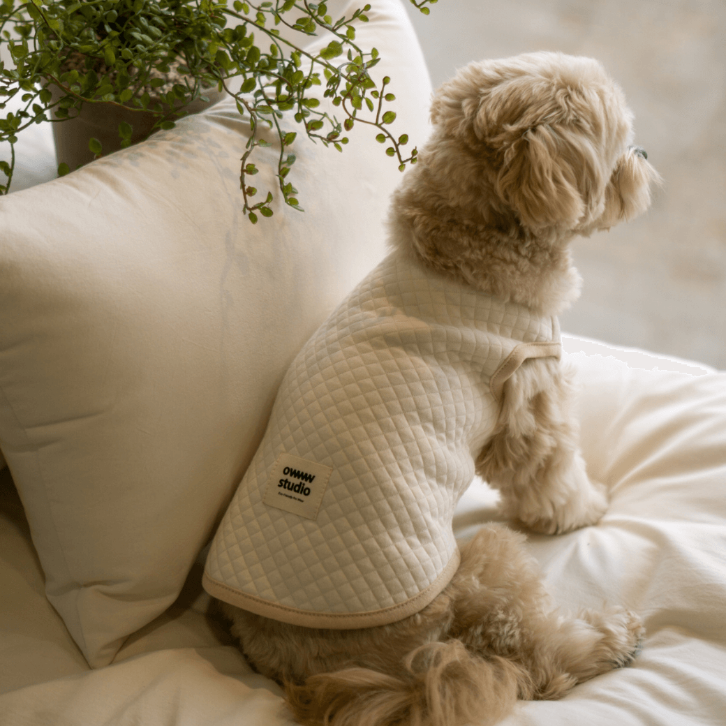 ORGANIC QUILTED VEST（ネーム刺繍可）