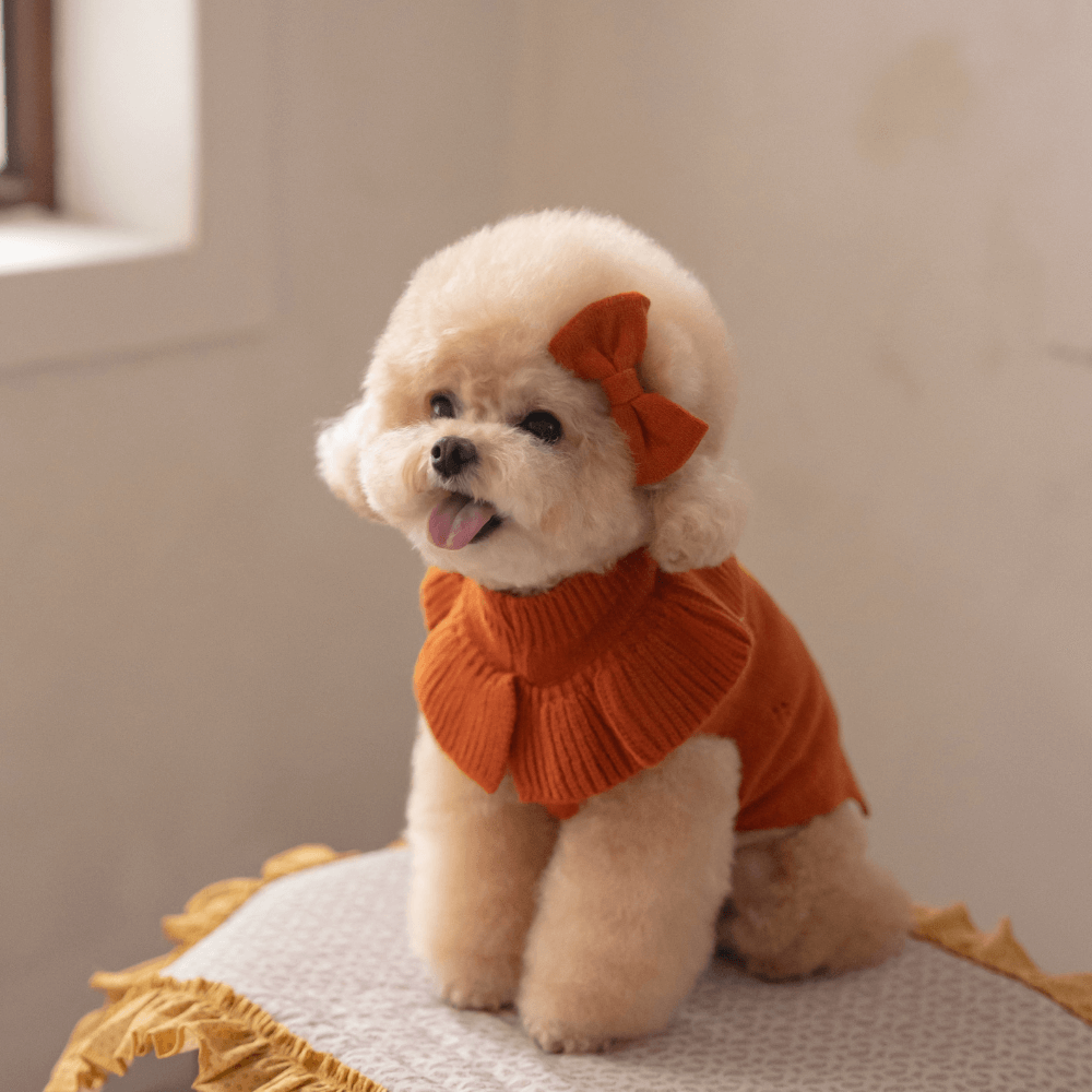 【MINIME別注】Frill Knit（Terracotta）