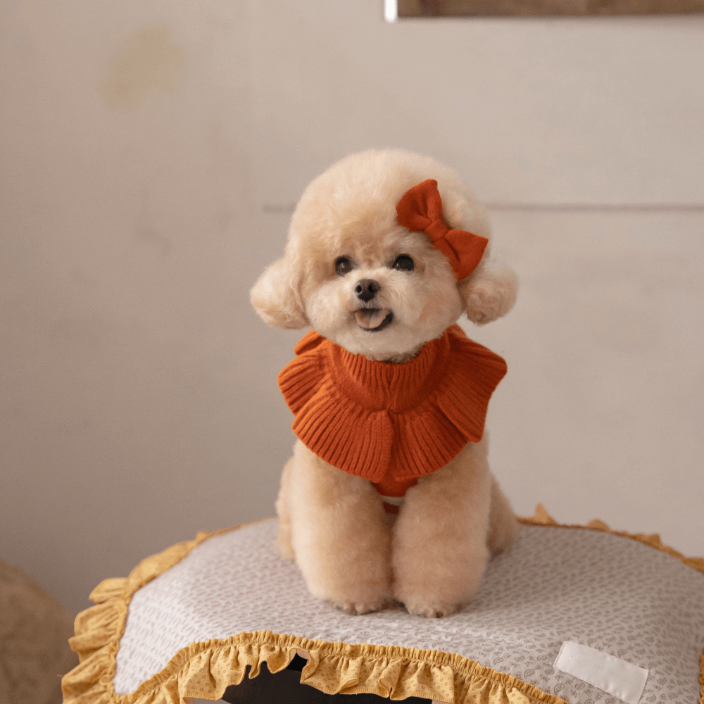 【MINIME別注】Frill Knit（Terracotta）