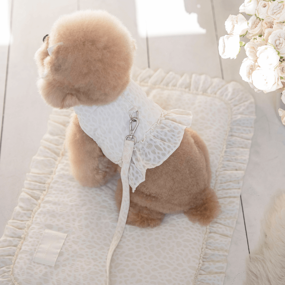 Leopard Pop Leash (white)