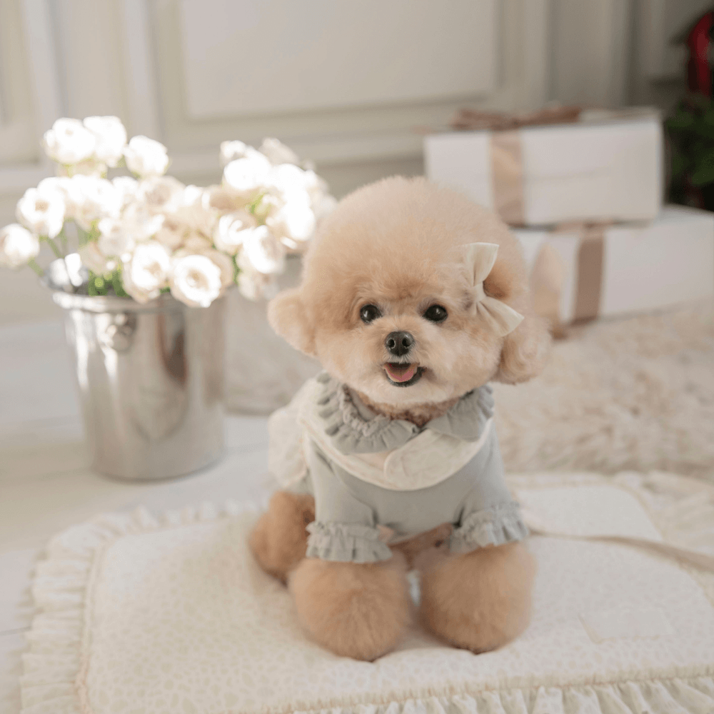 Leopard Pop Hair-Pin (2color)