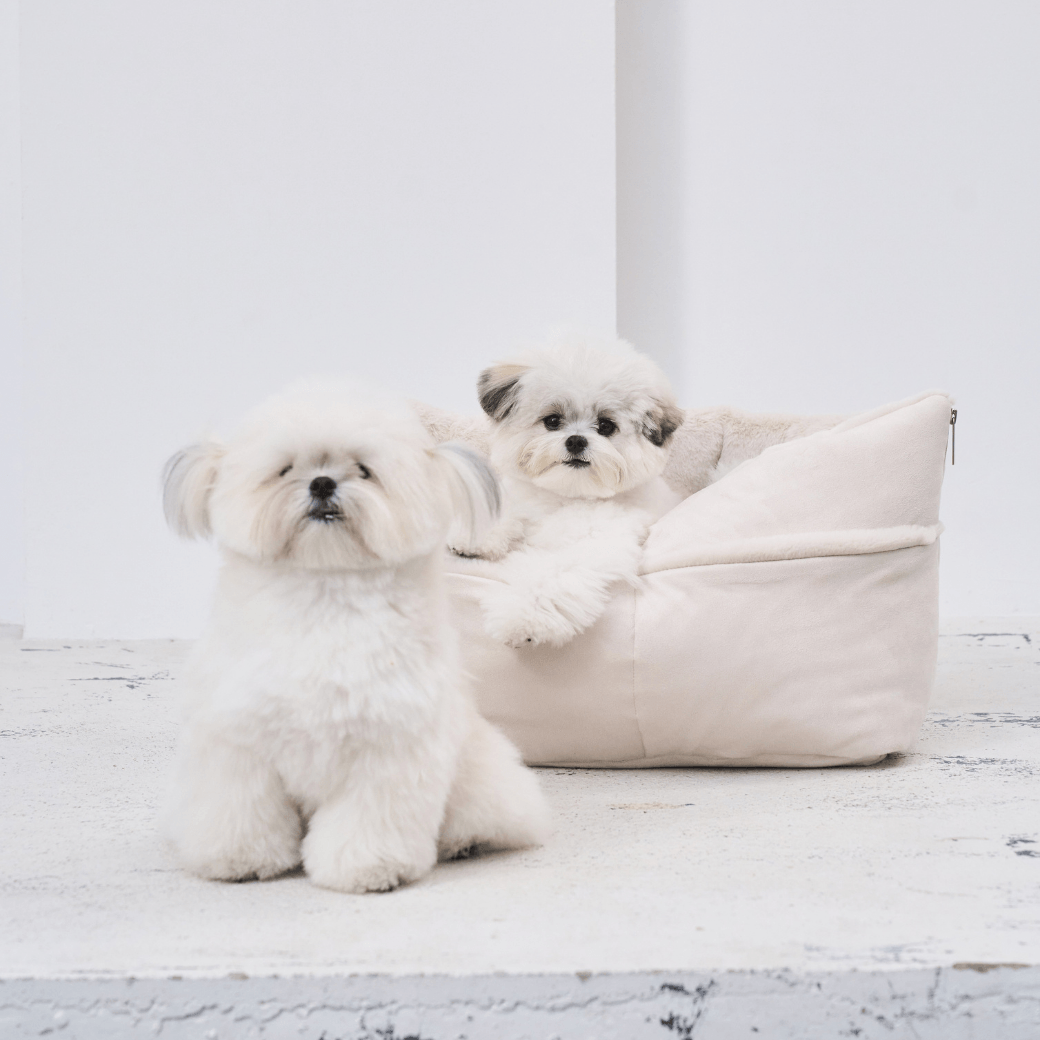 【10/22 20:00 販売開始】wide bag - suede peach ivory（APERTY）