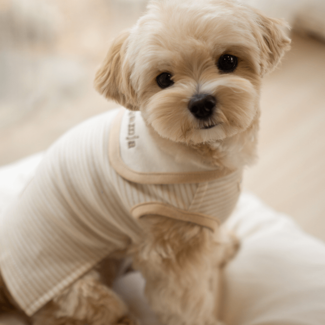 【予約】ORGANIC SAILOR SLEEVLESS（ネーム刺繍可 / 2COLOR）