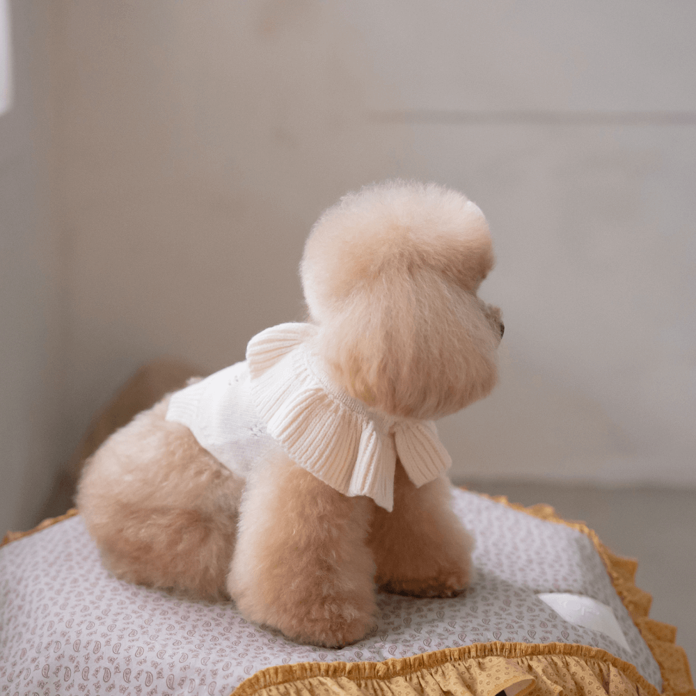 Frill Knit（Ivory）