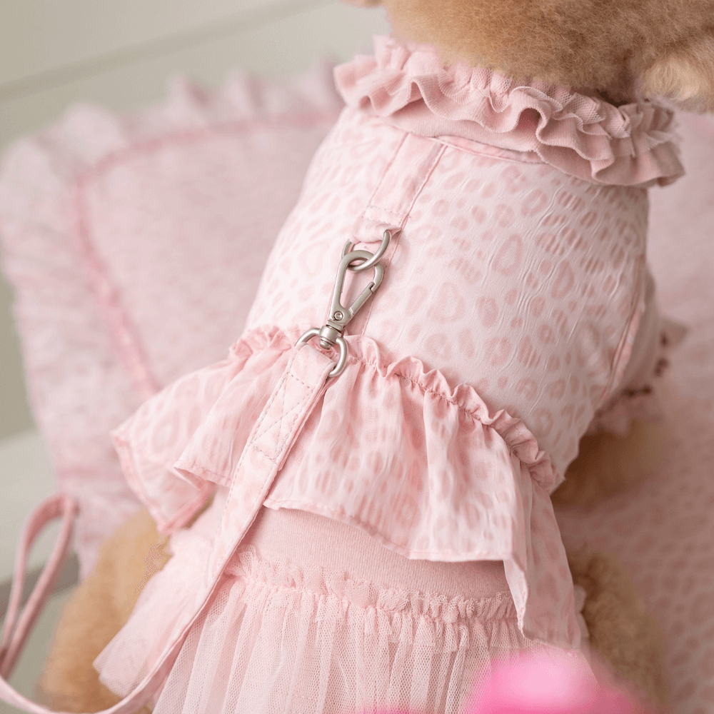 【予約】Leopard Pop Leash (pink)