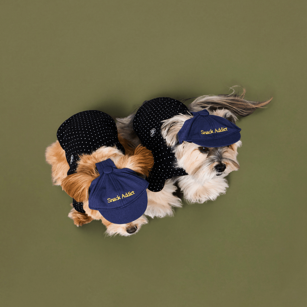 Snack Addict Ballcap