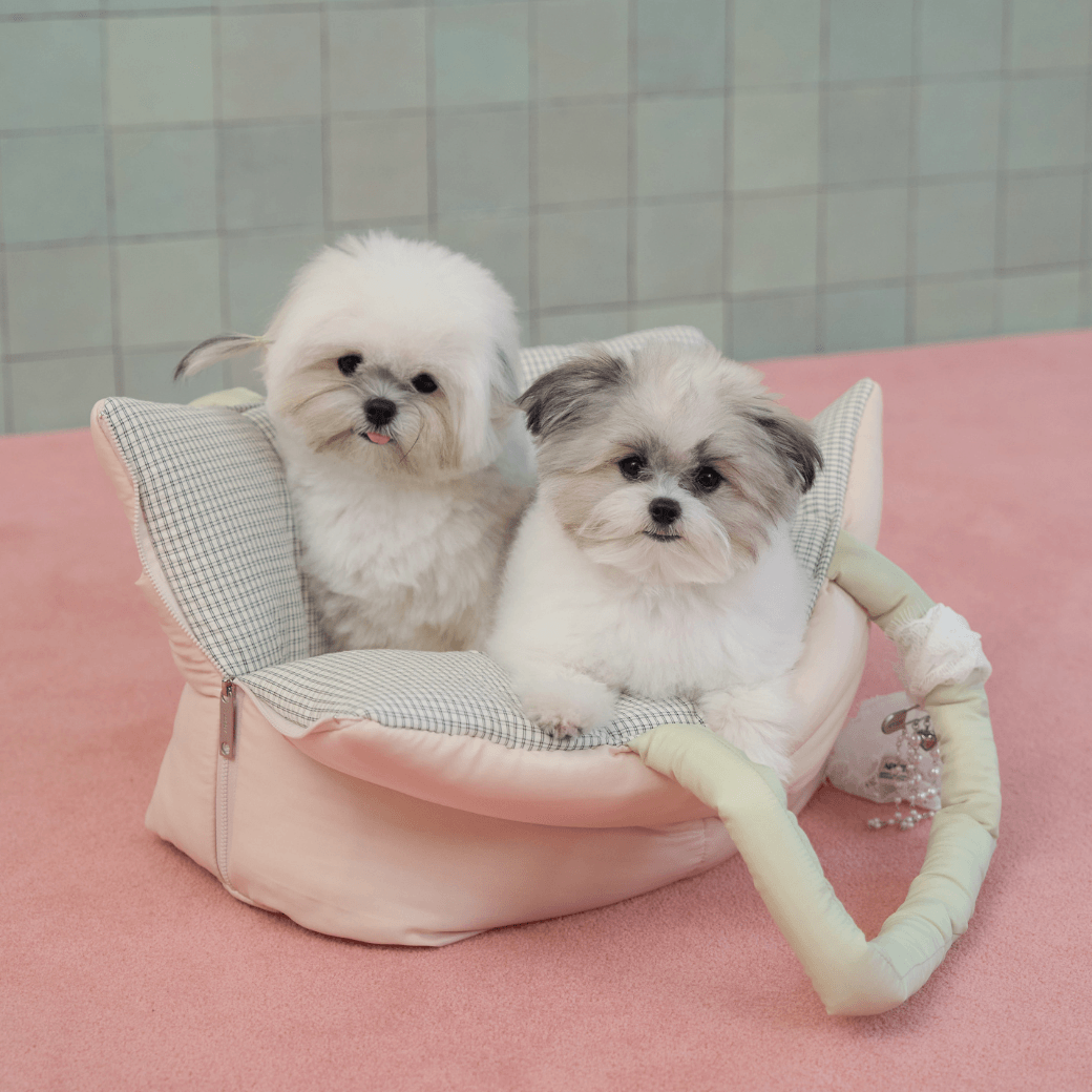 wide bag - green & pink（APERTY）4/10（金）21:00〜予約販売開始