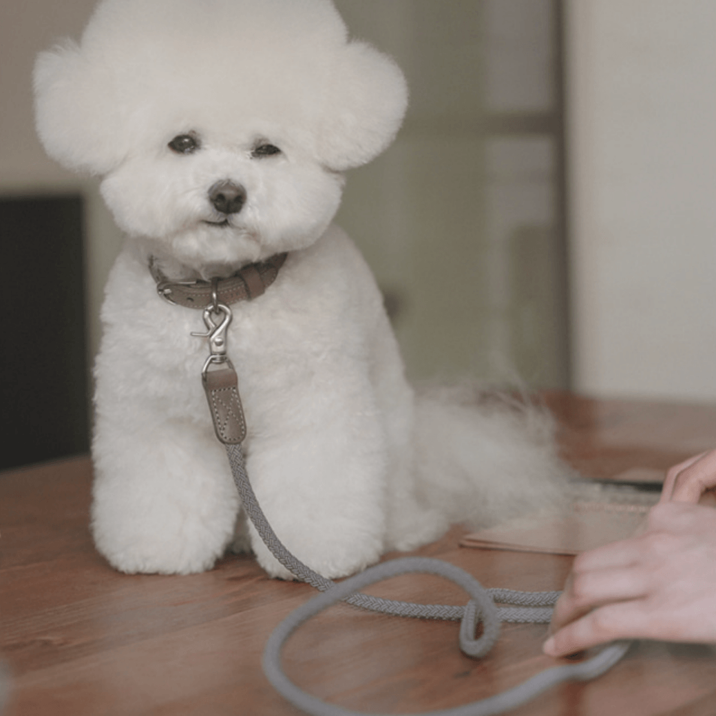 Rope Leash (Ash Grey)