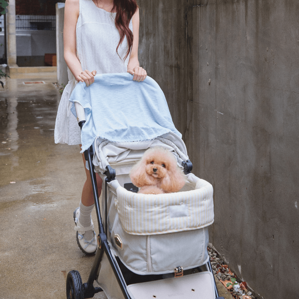 【予約】Buggy Puff (Yellow)