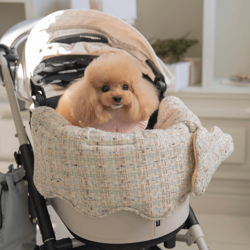 【予約】Mint Tweed Buggy Guard