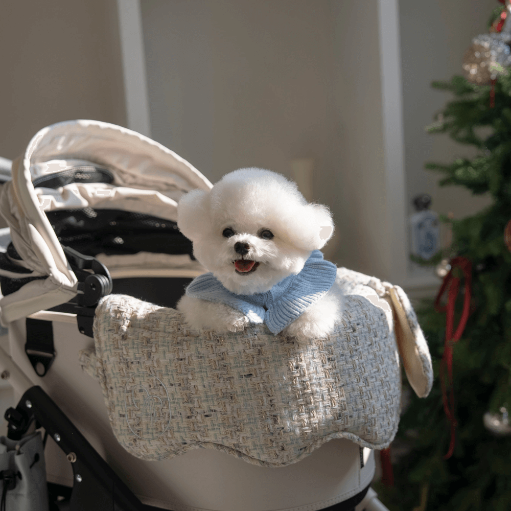 Mint Tweed Buggy Guard