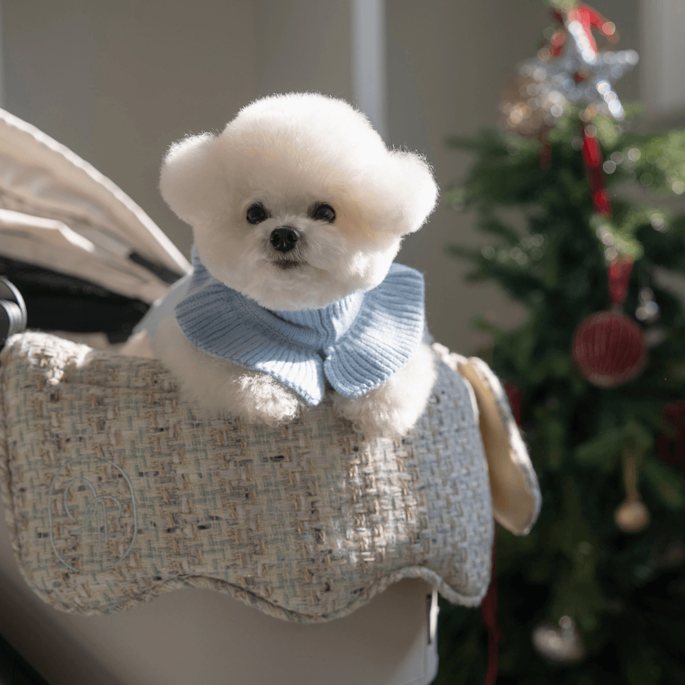 Mint Tweed Buggy Guard